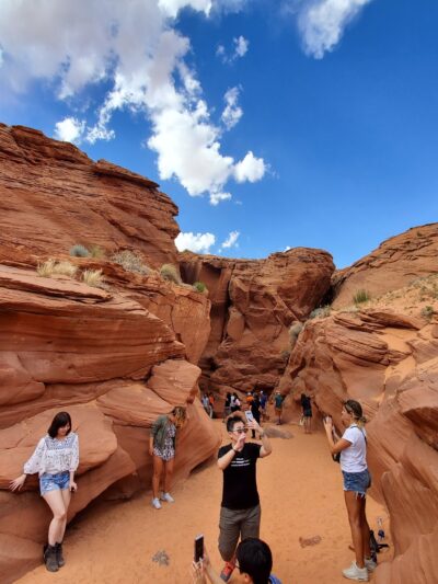 Wildcat Trail - Oljato-Monument Valley, UT