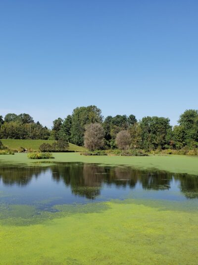 Olney Manor Recreational Park - Olney, MD