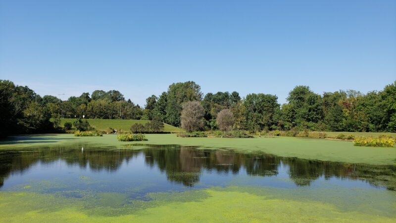 Olney Manor Recreational Park - Olney, MD