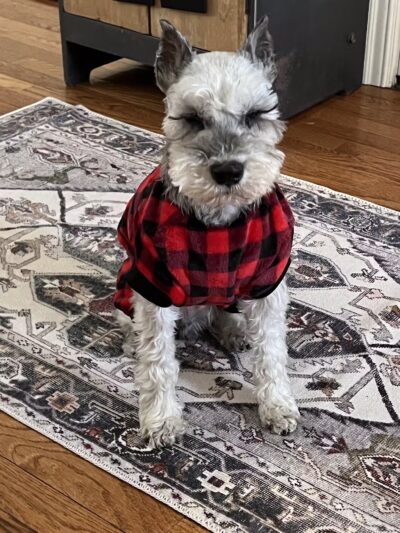 Deep Well Veterinary Services - Olsburg, KS