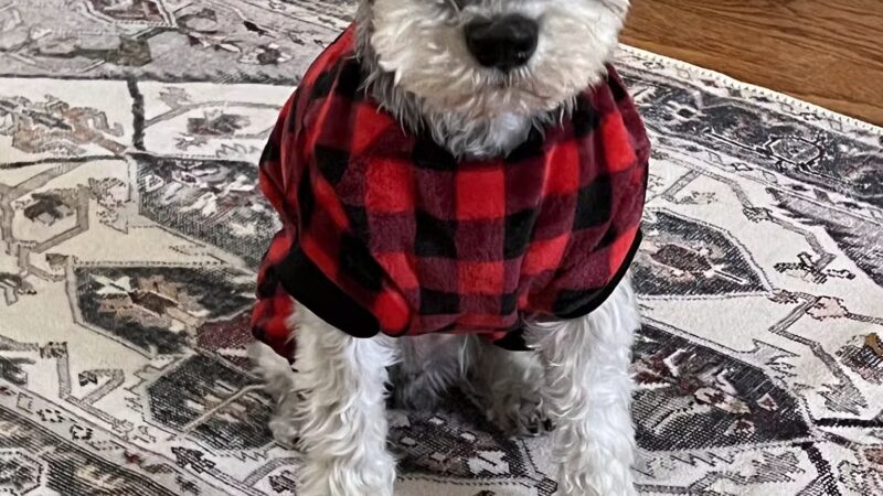 Deep Well Veterinary Services - Olsburg, KS