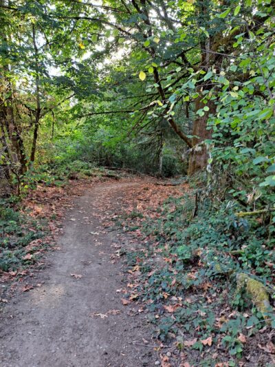 LBA Woods - Olympia, WA