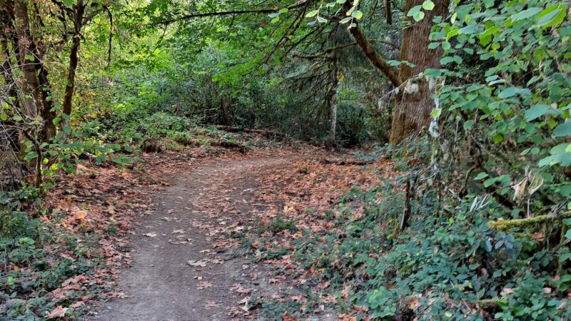 LBA Woods - Olympia, WA