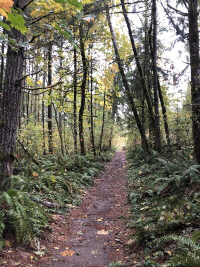 LBA Woods - Olympia, WA