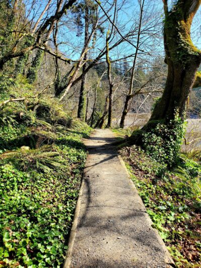 Squaxin Park Trailhead - Olympia, WA
