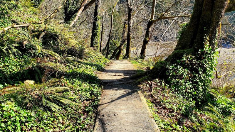 Squaxin Park Trailhead - Olympia, WA