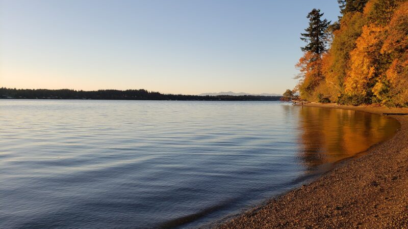 Squaxin Park Trailhead - Olympia, WA