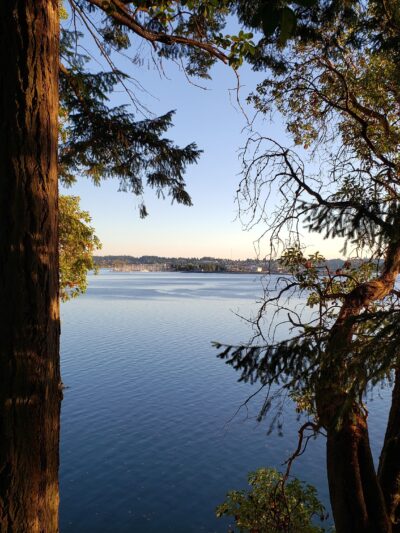Squaxin Park Trailhead - Olympia, WA