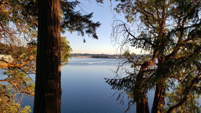 Squaxin Park Trailhead - Olympia, WA