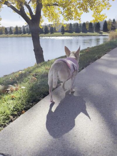 Lakeside Hills Park - Omaha, NE