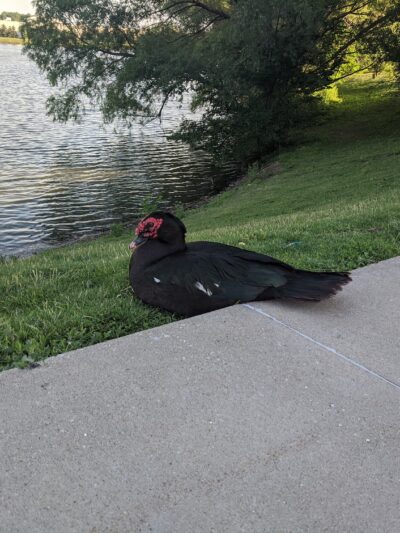 Lakeside Hills Park - Omaha, NE