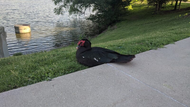 Lakeside Hills Park - Omaha, NE