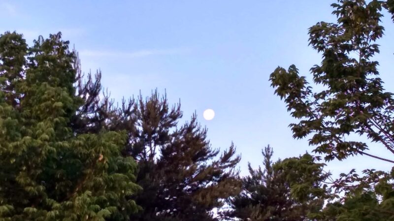 Susan Picotte Park - Omaha, NE