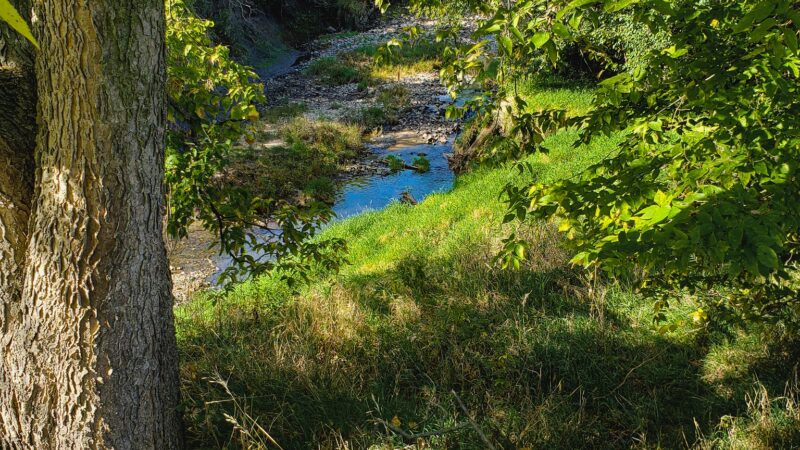 Barrington Park - Omaha, NE