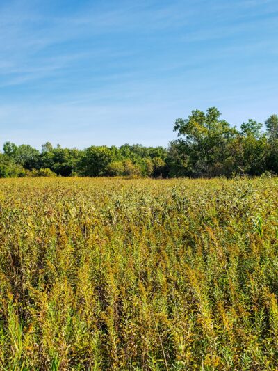 Barrington Park - Omaha, NE
