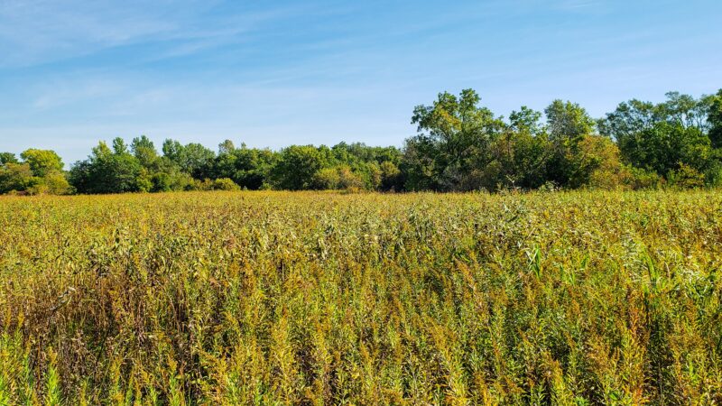 Barrington Park - Omaha, NE