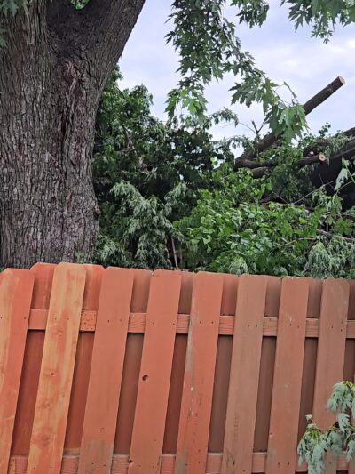 Democracy Park - Omaha, NE