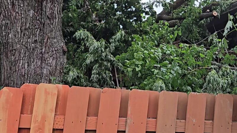 Democracy Park - Omaha, NE