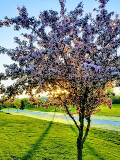 Quail Run Park - Omaha, NE