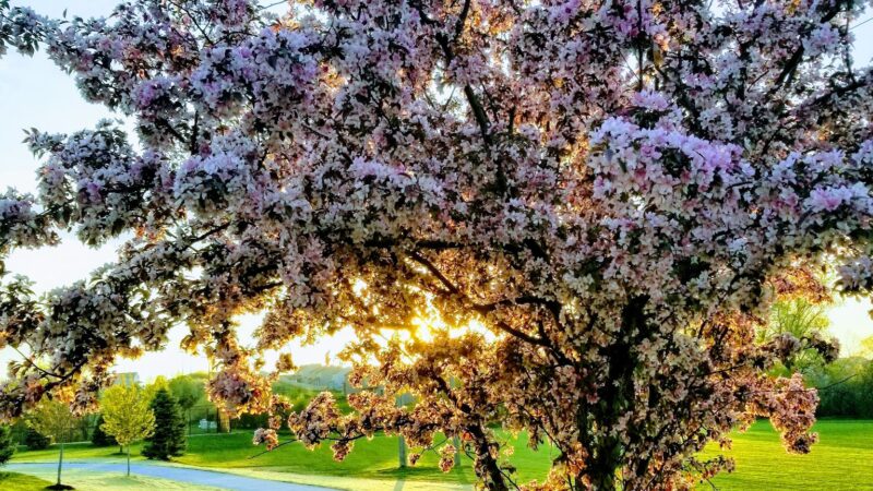 Quail Run Park - Omaha, NE