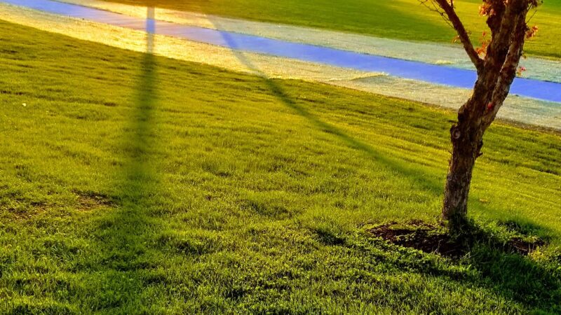 Quail Run Park - Omaha, NE