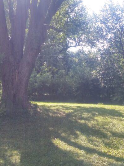 Tomahawk Hills Park - Omaha, NE