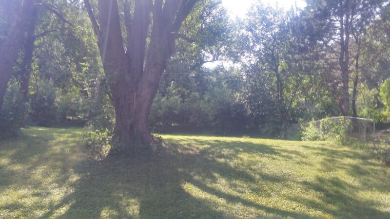 Tomahawk Hills Park - Omaha, NE