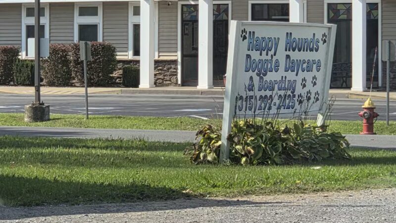 Happy Hounds Doggie Daycare & Boarding - Oneida, NY