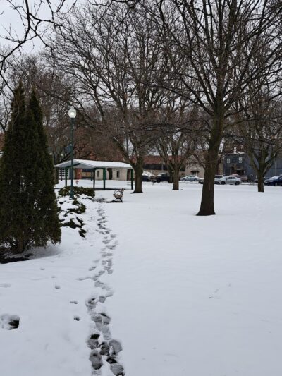 Higinbotham Park - Oneida, NY