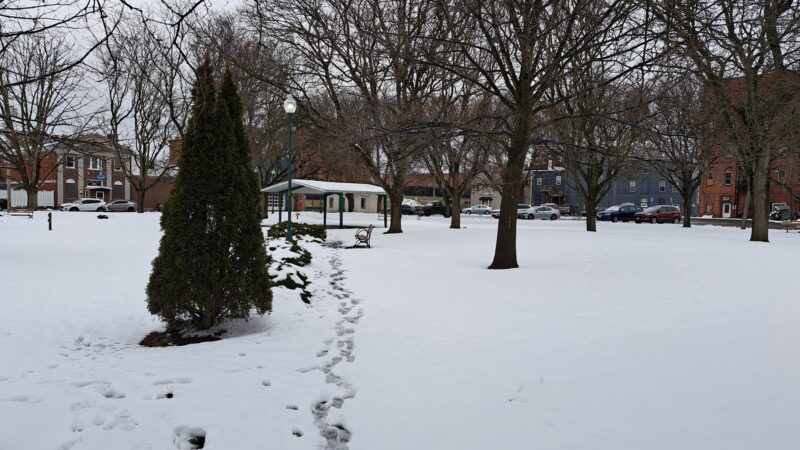 Higinbotham Park - Oneida, NY