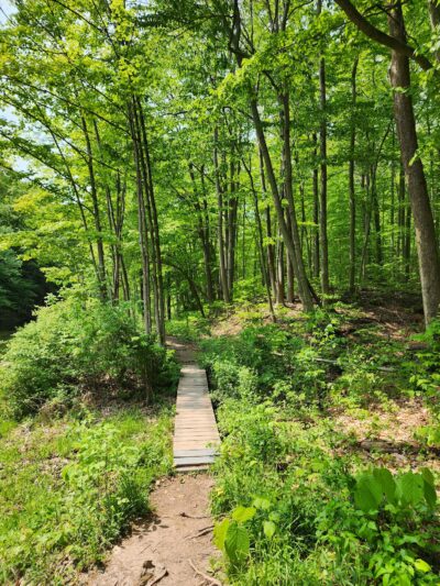 Mount Hope Park - Oneida, NY