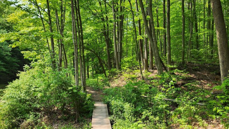 Mount Hope Park - Oneida, NY