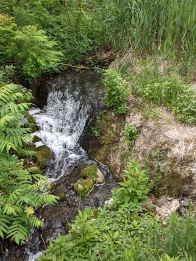 Mount Hope Park - Oneida, NY