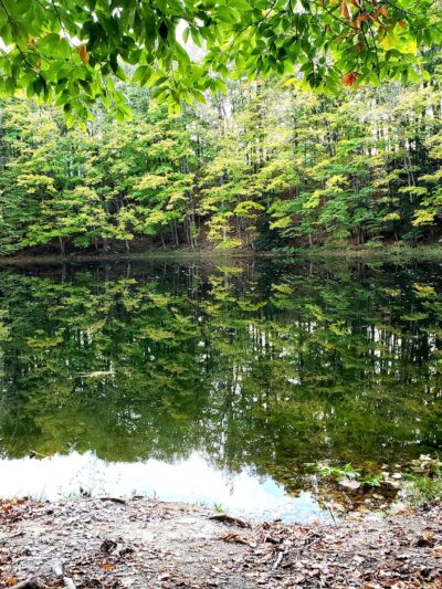 Mount Hope Park - Oneida, NY