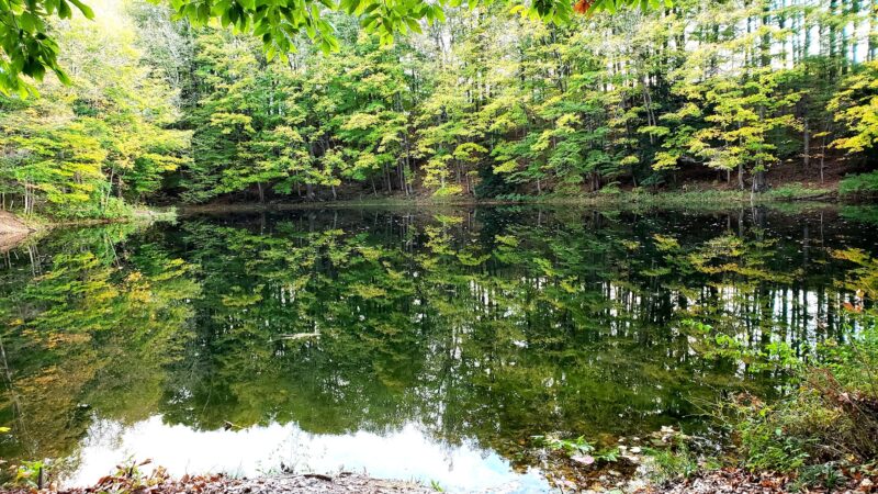 Mount Hope Park - Oneida, NY