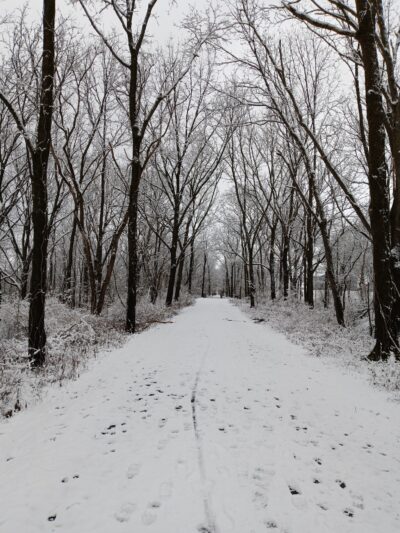 Oneida Rail Trail - Oneida, NY