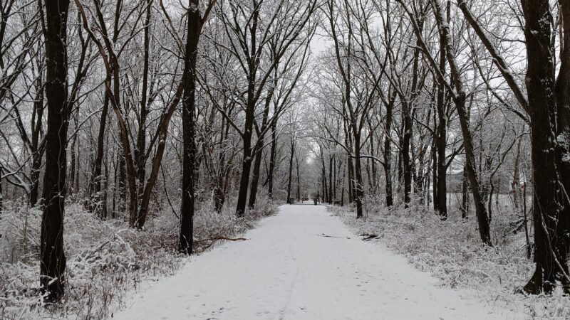 Oneida Rail Trail - Oneida, NY