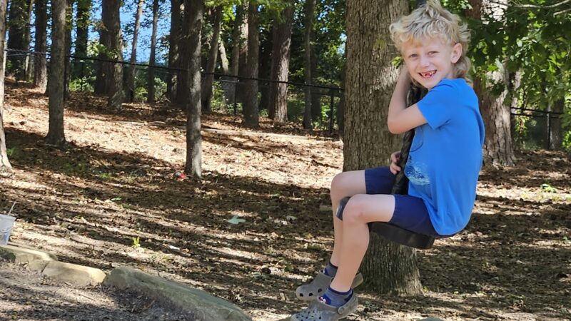 Woodland Park - Oneonta, AL