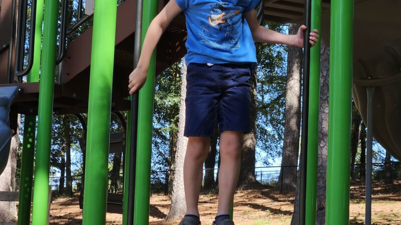 Woodland Park - Oneonta, AL