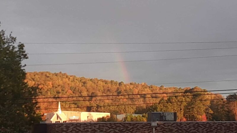 Woodland Park - Oneonta, AL