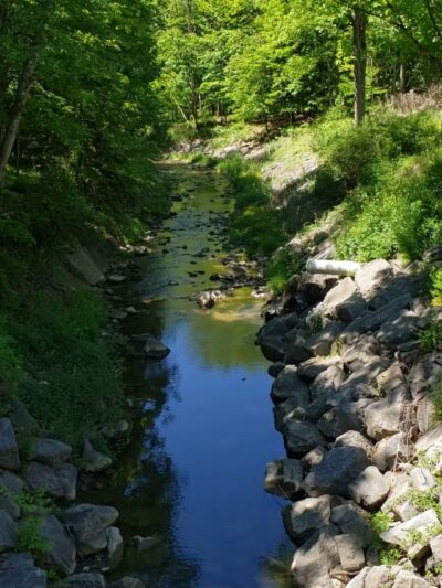 Wilber Park - Oneonta, NY