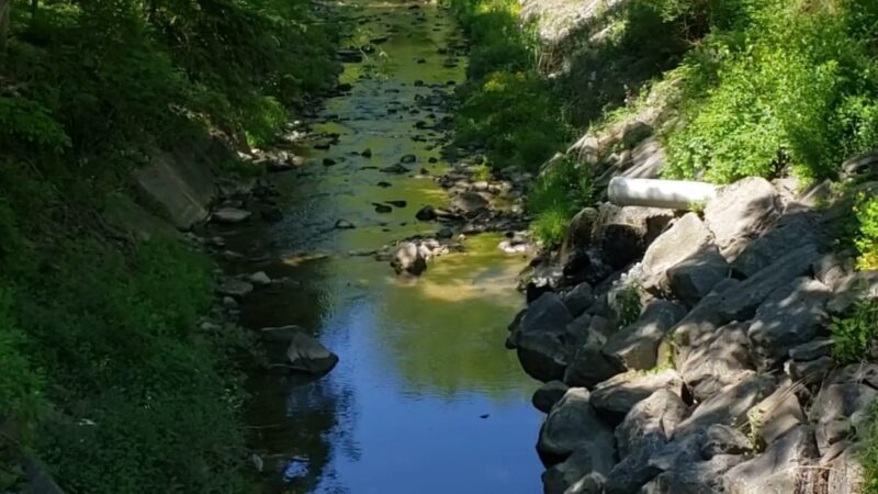 Wilber Park - Oneonta, NY