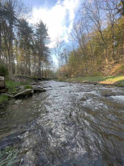 Wilber Park - Oneonta, NY