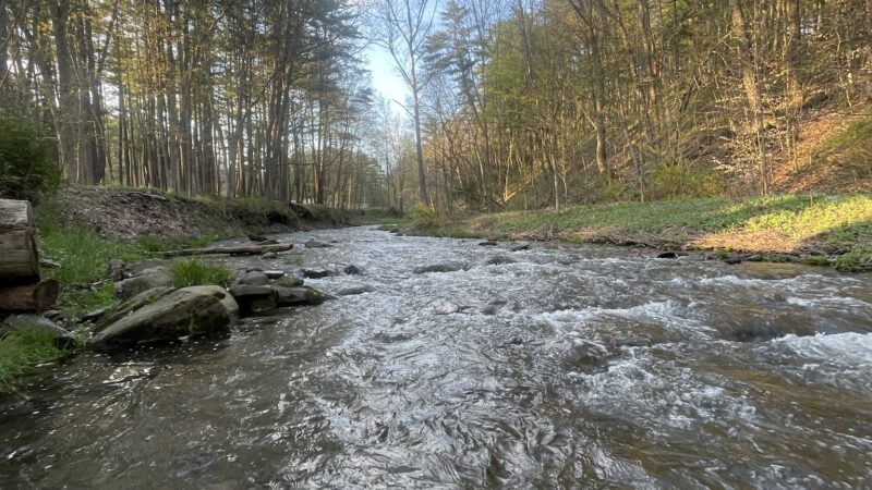 Wilber Park - Oneonta, NY