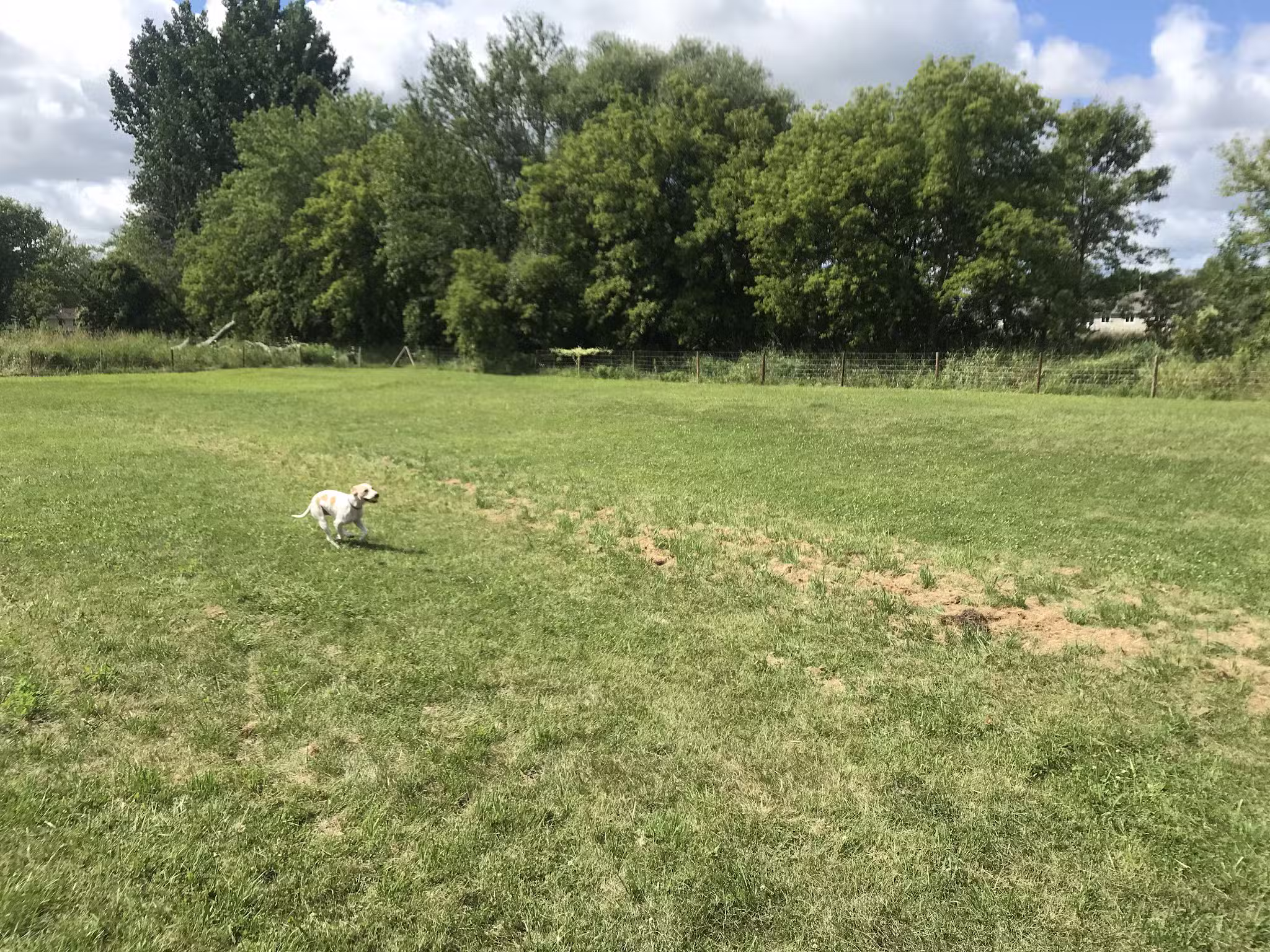 Stretch and Fetch - Oostburg, WI