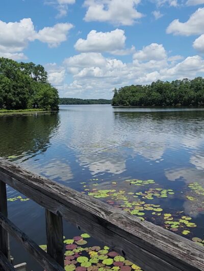 Frank Jackson State Park - Opp, AL