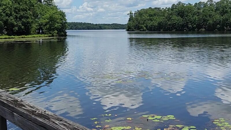 Frank Jackson State Park - Opp, AL