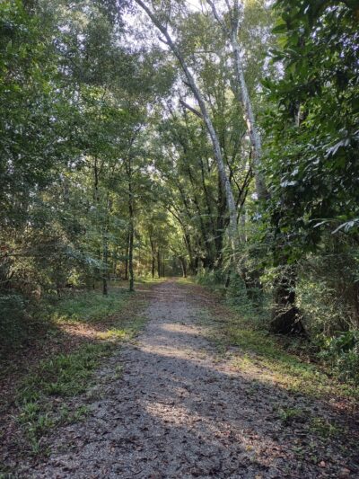 Frank Jackson State Park - Opp, AL