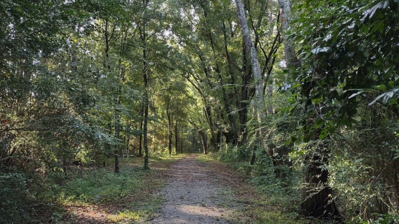 Frank Jackson State Park - Opp, AL