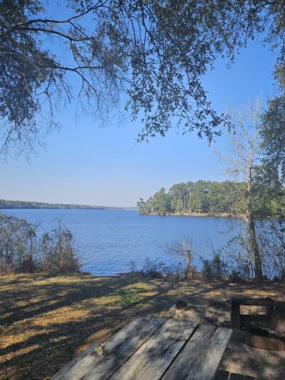 Frank Jackson State Park - Opp, AL